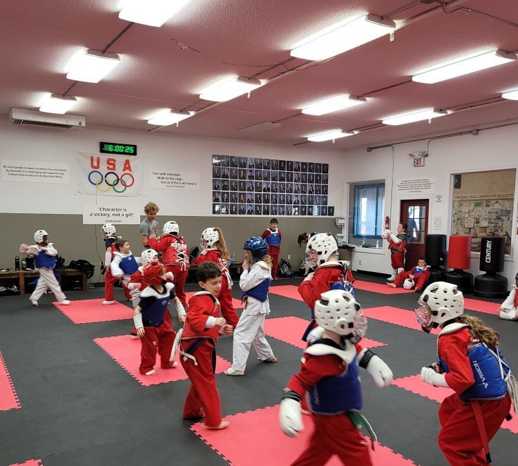 World Taekwondo Academy (Saint&nbspMichael,&nbspMN)